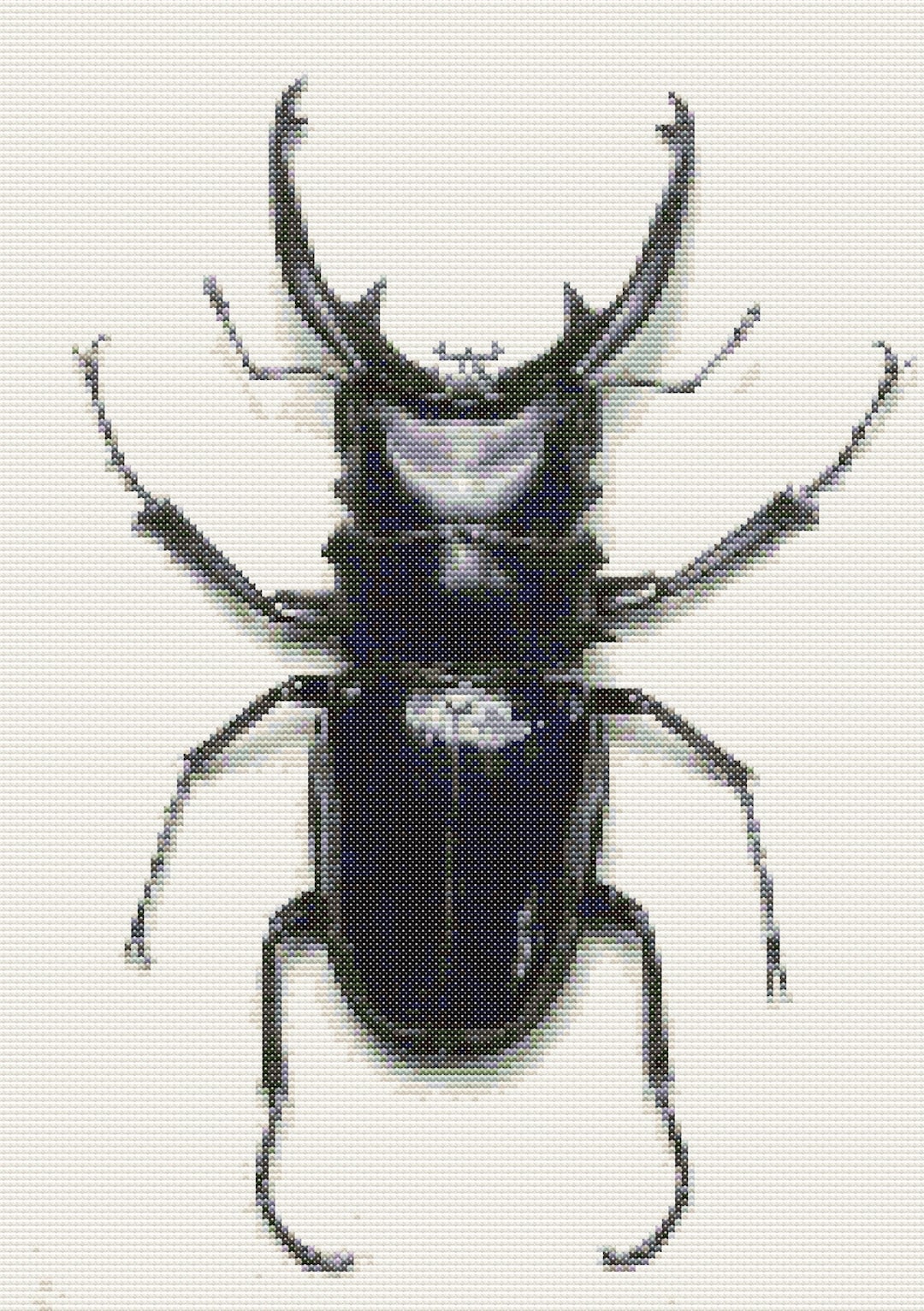 Cross Stitch Chart – Black Horned Beetle is an Insect. Pattern Keeper ...