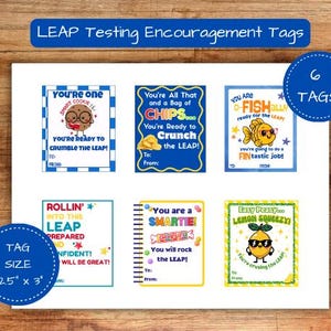 May include: A set of six colorful encouragement tags with fun graphics and phrases like "You're one smart cookie!" and "You're all that and a bag of chips!" The tags are designed for the LEAP test and are 2.5" x 3" in size.