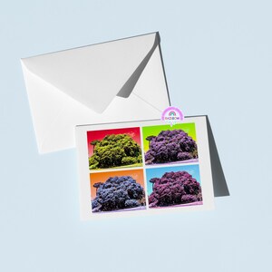 New Zealand Greeting Card • Birthday Card • Colourful Greeting Card • Blank Card • Aotearoa • New Zealand • Blank Inside • Thank You Card