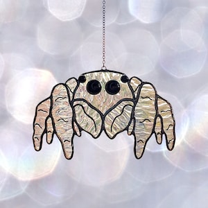 Stained Glass Jumping Spider Window Hanging. Funny Suncatcher Arachnid Decor.