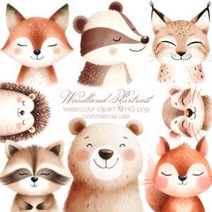 Portraits d'animaux, clipart forêt, baby shower de la forêt, animaux de la forêt PNG, animaux de la forêt, animaux de la chambre de bébé bohème
