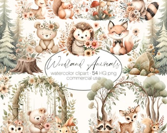 Boho Waldtiere Clipart, Aquarell Bundle, Wald Tiere Clipart, Fuchs Bär Reh Eule Hase Waschbär Eichhörnchen, kinderzimmer dekoration