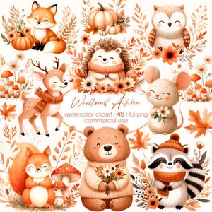 Bundle de cliparts aquarelle animaux de la forêt, clipart automne, clipart animaux aquarelle, aquarelle renard ours cerf hibou lapin raton laveur