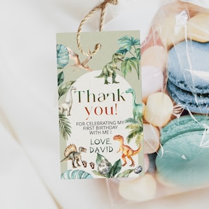 Dinosaur birthday party thank you tags, T-Rex party favor tag template, printable gift tags, dino thank you tag, editable tag label, P106