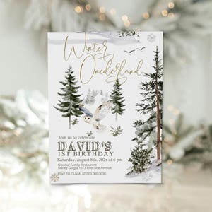 Winter onederland birthday invitation template, owl party invite, editable 1st birthday party invite, christmas forest birthday invite, P180