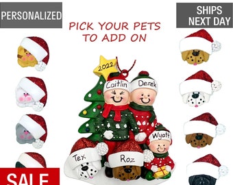 Family Christmas Ornament, Personalized Family of 3 with Pet, Cat, and Dog Ornament, Christmas Family with Pets