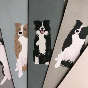May include: Four different cards featuring illustrations of border collies in various poses. The cards are all different shades of grey and brown.