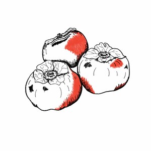 Giclee Persimmon Fine Art Print