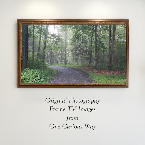 Misty Forest Path Green Woodland Landscape Frame TV Art Digital Download