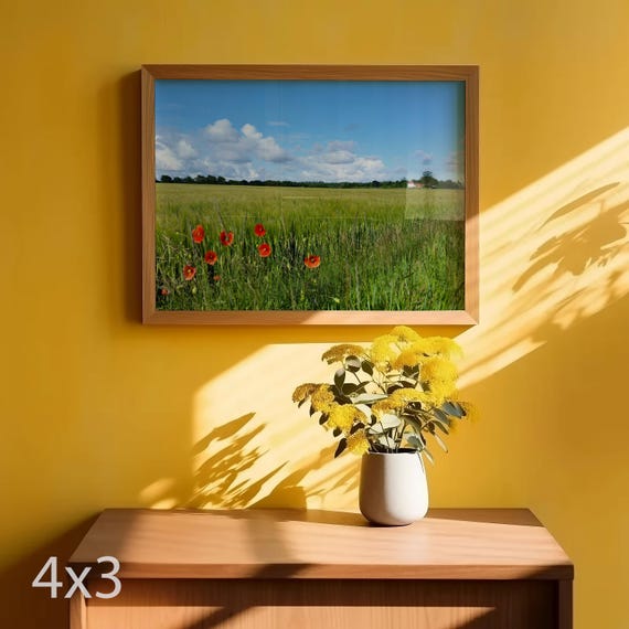 Red Poppies in Barley Field – Denmark Summer Landscape Photography – Horizontal Full Bleed Digital Download
