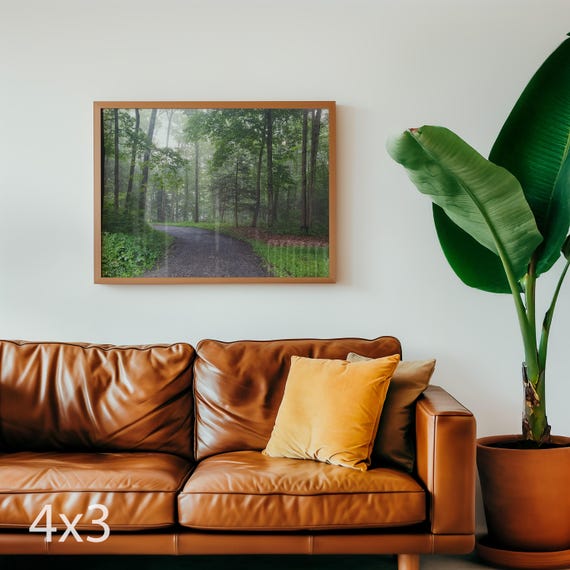 Horizontal Forest Wall Art – Misty Connecticut Morning, Digital Download Landscape Photo, Nature Print, Foggy Woodland Decor