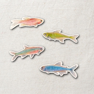 Könnte beinhalten: Vier bunte Fischaufkleber. Die Aufkleber zeigen Aquarellillustrationen von Fischen in Rosa-, Grün-, Blau- und Regenbogenfarben. Jeder Fisch hat einen weißen Rand, und der Hintergrund ist ein strukturiertes, cremefarbenes Gewebe.