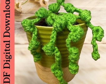 String of Pearls Plant Crochet Pattern