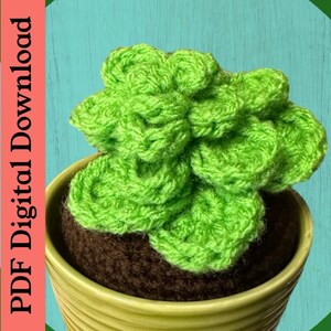 Succulent Crochet Pattern