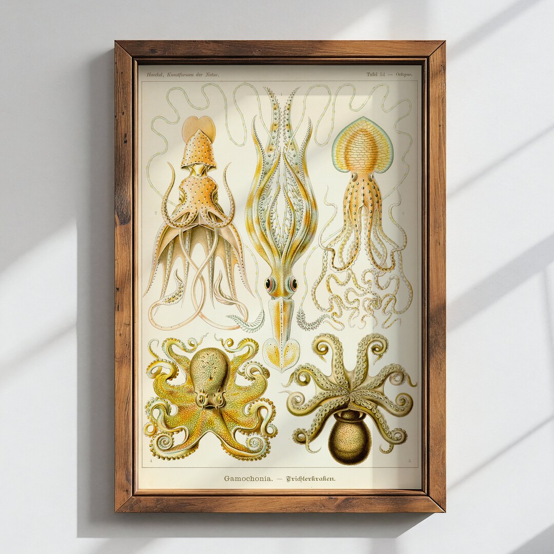 Octopus Inlay Octopus Vintage Illustration Print | Dark Academia Decor | Cottagecore ...