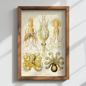 Krake Vintage Illustration Druck | Dark Academia Dekor | Cottagecore Wand Kunst | Antike Lithographie | Kunstformen in der Natur | Ernst Haeckel