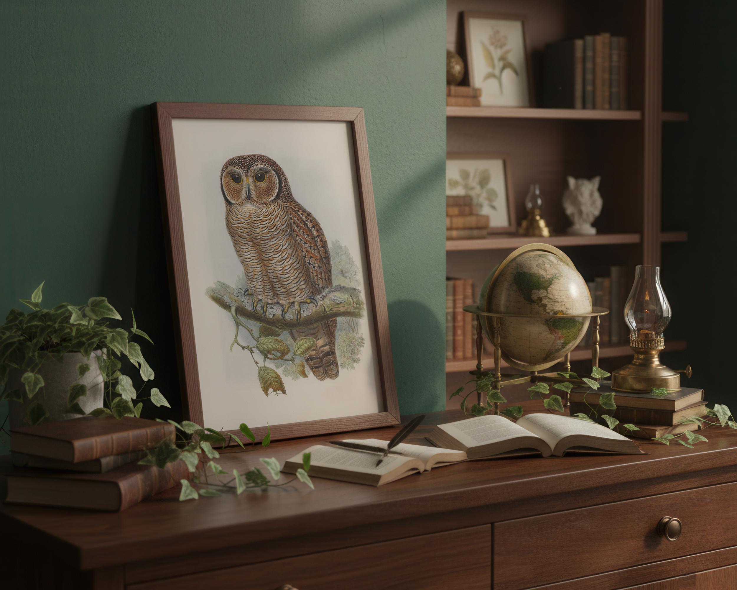 Vintage Wood Owl Art Print – Cottagecore Farmhouse Wall Decor – #313 - Etsy