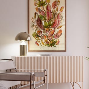 Op de afbeelding: Een vintage botanische illustratie van een roze en groene bekerplant, ingelijst in een bruin houten lijst, hangt aan een witte muur boven een lichtbeige kast met gouden poten. Op de kast staat een gouden lamp met een witte kap.