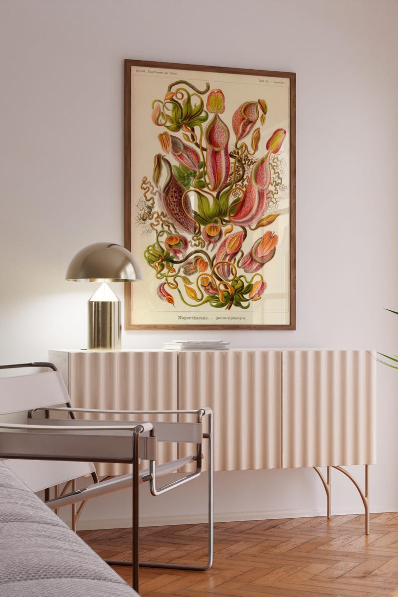 Op de afbeelding: Een vintage botanische illustratie van een roze en groene bekerplant, ingelijst in een bruin houten lijst, hangt aan een witte muur boven een lichtbeige kast met gouden poten. Op de kast staat een gouden lamp met een witte kap.