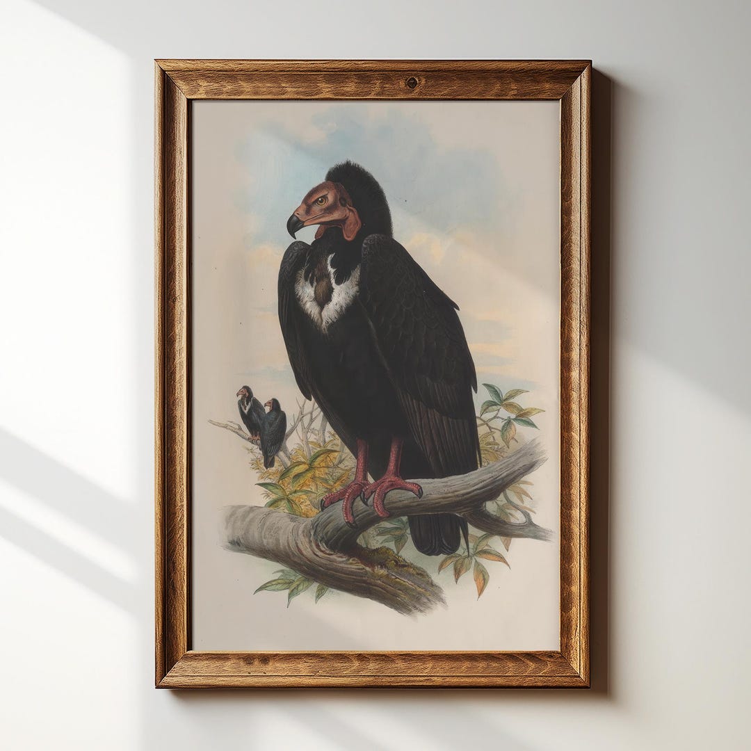 Vintage Vulture Art Print – Cottagecore Farmhouse Wall Decor – #311 - Etsy