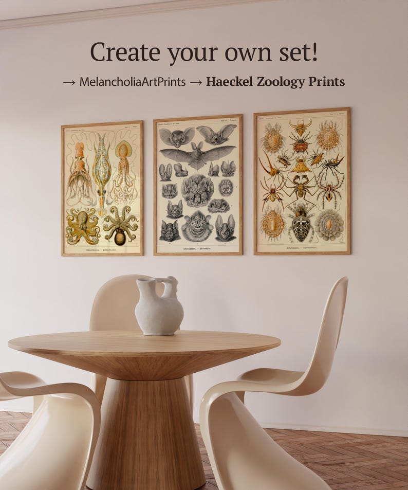 Op de afbeelding: Drie ingelijste vintage prints van wetenschappelijke illustraties van zeedieren, vleermuizen en spinnen. De prints zijn opgehangen aan een witte muur boven een houten tafel met een witte vaas en vier witte stoelen.