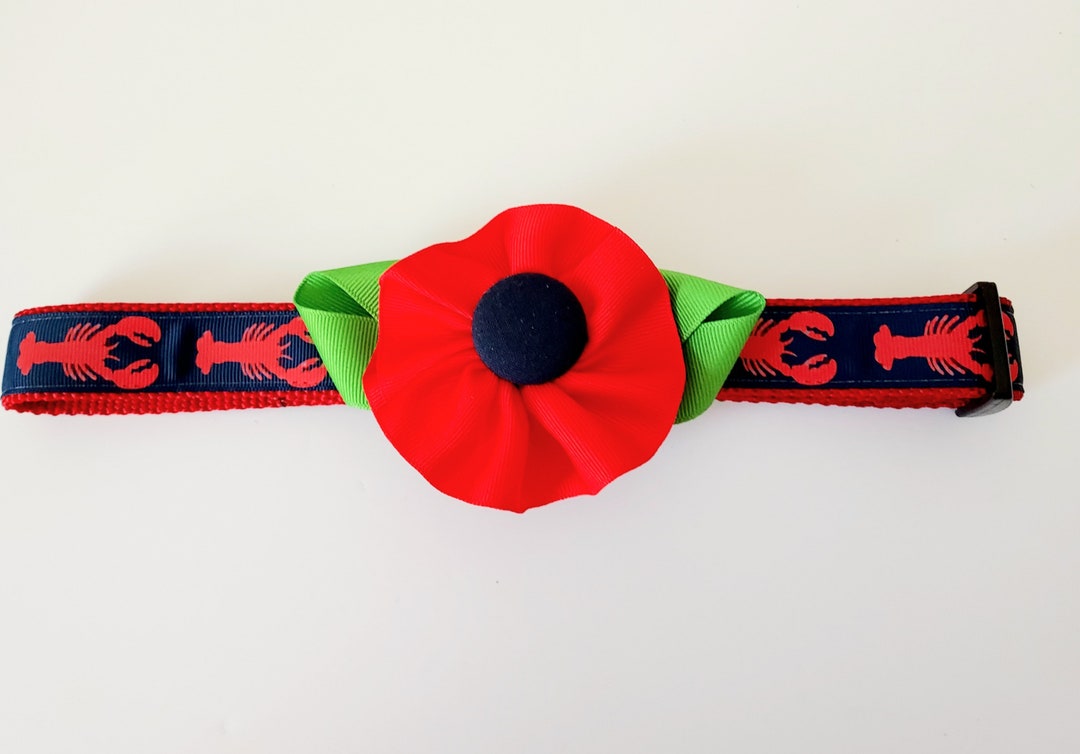 Girl Dog Collar With Flower Red Lobster With Red Flower on Etsy