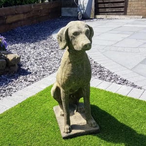 Stone 19th Century style vintage Pointer Dog Statue - UK mainland Delivery included - 0165.