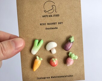 Mini Clay Magnet Set - Groenten - Handgemaakt - Polymeerklei - Koelkastmagneten - Prei, Paddestoel, Aubergine, Wortel, Tomaat, Radijs