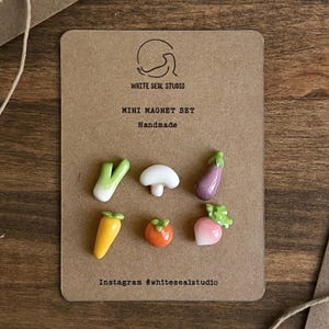 Mini Clay Magnet Set - Gemüse - Handgemacht - Polymer Clay - Kühlschrankmagnete - Lauch, Pilz, Aubergine, Karotte, Tomate, Radieschen