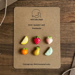 Könnte beinhalten: Ein Set aus sechs handgefertigten Mini-Magneten in Form von Früchten, darunter eine Zitronenscheibe, eine Erdbeere, ein Pfirsich, eine Orange, eine Birne und eine Limettenscheibe. Die Magnete werden auf einer braunen Karte mit dem Text "White Seal Studio" und "Mini Magnet Set" präsentiert.