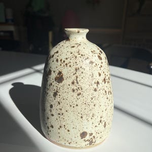 May include: A speckled ceramic vase with a rounded body and a narrow neck. The vase is off-white with brown speckles, creating a rustic, handmade aesthetic. The vase is likely used for decorative purposes or holding flowers.