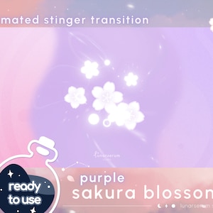 Transición de aguijón de flor de cerezo morado / animación de transición de transmisor de YouTube de Twitch / cereza / lindo / estrellas fugaces