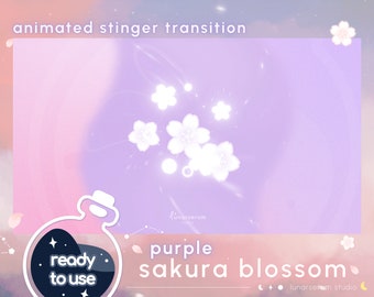 Purple Sakura Blossom Stinger Transition | twitch youtube streamer transition animation | cherry / cute / shooting stars