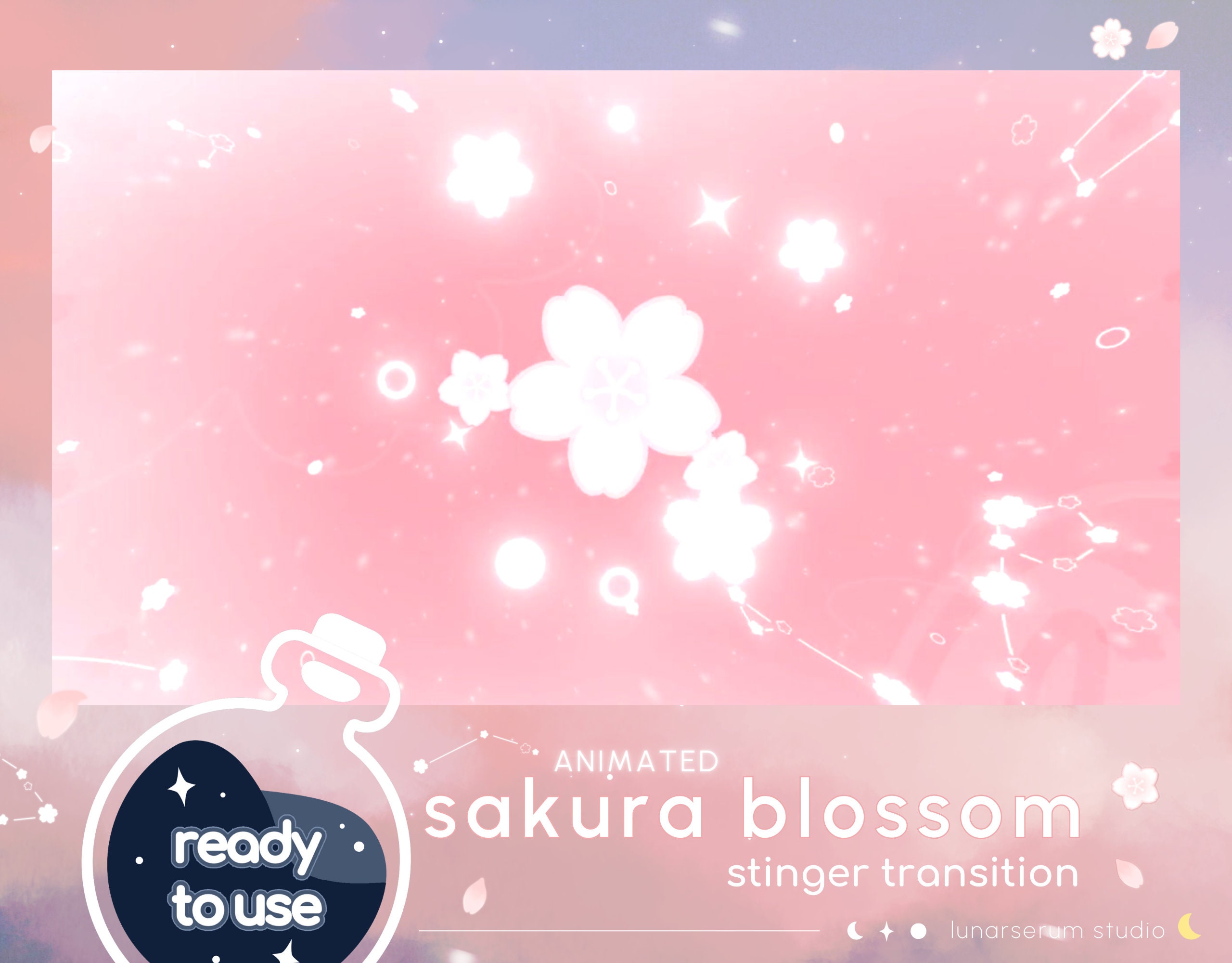 ANIMATED Sakura Blossom Stinger Transition | twitch youtube streamer transition animation | cherry / pink / cute / shooting stars