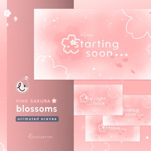 Può includere: Scene animate di fiori di ciliegio Sakura rosa. Il design include il testo che dice "Starting soon...", "Be right back...", "Ending soon..." e "Offline...". Il design presenta uno schema di colori rosa con illustrazioni di fiori di ciliegio bianchi.