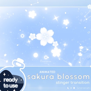 青い桜の花のスティンガートランジション | twitch youtube ストリーマートランジションアニメーション | 桜 / かわいい / 流れ星