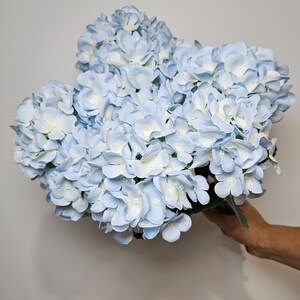 Pu&ograve; includere: Un mazzo di fiori di ortensia blu chiaro. I fiori sono disposti a grappolo e hanno un aspetto morbido e delicato.