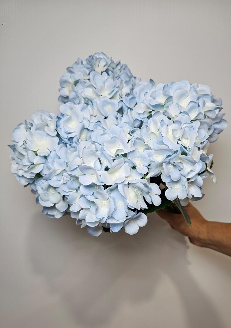 Pu&ograve; includere: Un mazzo di fiori di ortensia blu chiaro. I fiori sono disposti a grappolo e hanno un aspetto morbido e delicato.