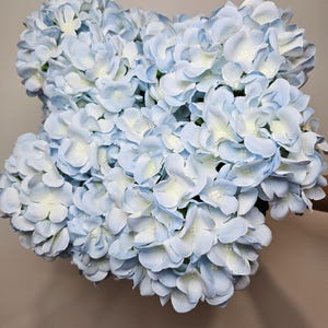 Pu&ograve; includere: Un mazzo di fiori di ortensia blu chiaro. I fiori sono disposti a grappolo e hanno un aspetto morbido e delicato.