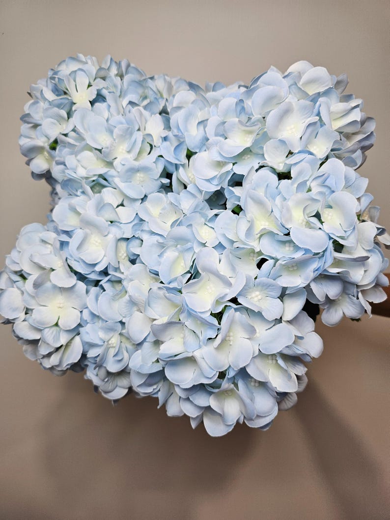 Pu&ograve; includere: Un mazzo di fiori di ortensia blu chiaro. I fiori sono disposti a grappolo e hanno un aspetto morbido e delicato.