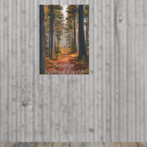 May include: A photograph of a path through a forest with the text "Superior National Forest" at the bottom.