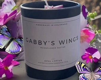 Gabby's Wings