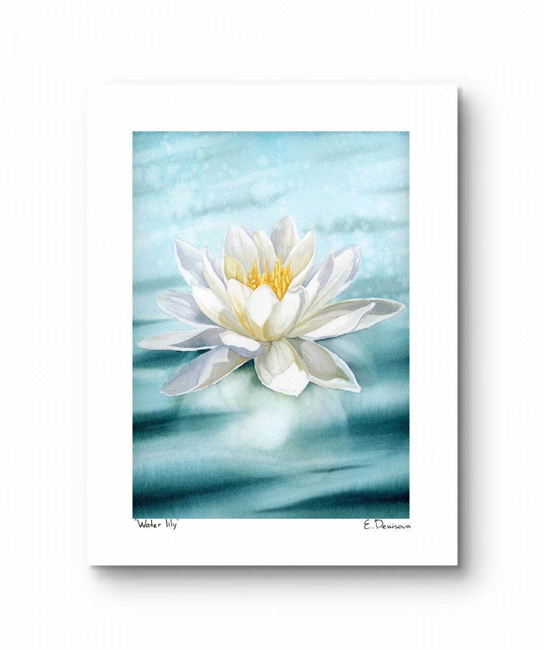Water Lily Art Print, Lotus Wall Art, Giclee White Lotus Print 8.5x11 ...