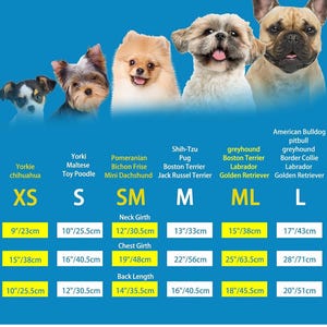 K&ouml;nnte beinhalten: Eine Tabelle, die verschiedene Hunderassen und ihre entsprechenden Gr&ouml;&szlig;en zeigt, mit Ma&szlig;en in Zoll und Zentimetern. Die Tabelle enth&auml;lt Rassen wie Chihuahua, Malteser, Zwergspitz, Shih-Tzu, Mops, Boston Terrier, Windhund, Labrador und Golden Retriever.