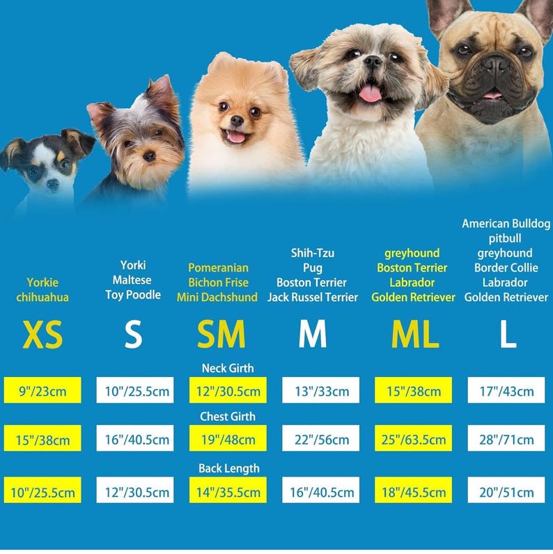K&ouml;nnte beinhalten: Eine Tabelle, die verschiedene Hunderassen und ihre entsprechenden Gr&ouml;&szlig;en zeigt, mit Ma&szlig;en in Zoll und Zentimetern. Die Tabelle enth&auml;lt Rassen wie Chihuahua, Malteser, Zwergspitz, Shih-Tzu, Mops, Boston Terrier, Windhund, Labrador und Golden Retriever.