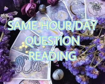 QUICK SAME HOUR tarot reading 1 question