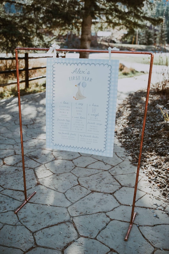 One Silly Goose First Birthday Milestone Sign: Editable Blue One Silly Goose Milestone Board | He’s One Silly Goose 1st Birthday Milestone