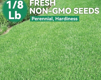 1/8 lb de semillas de césped Zoysia Esmeralda - Césped perenne de estación cálida para un césped verde denso, ideal para exteriores y paisajismo.