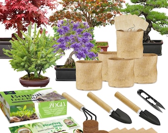 Kit de bonsái: set completo de jardinería de interior con 90 semillas, herramientas y caja de regalo. Perfecto para amantes de la jardinería y las plantas.