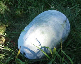 Chinese Winter Melon Seeds 冬瓜: Tasty & Healthy Wax Gourd – 12 Organic Heirloom Seeds